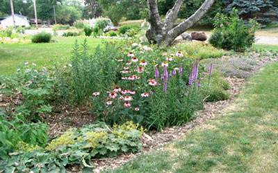 Rain Gardens