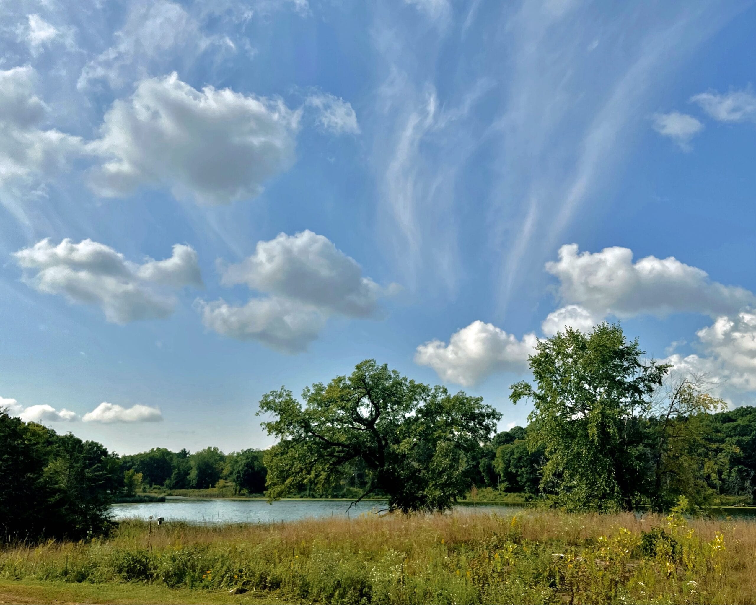 Trees and shoreline in front of Ravine Lake with partly cloudy blue sky in summer