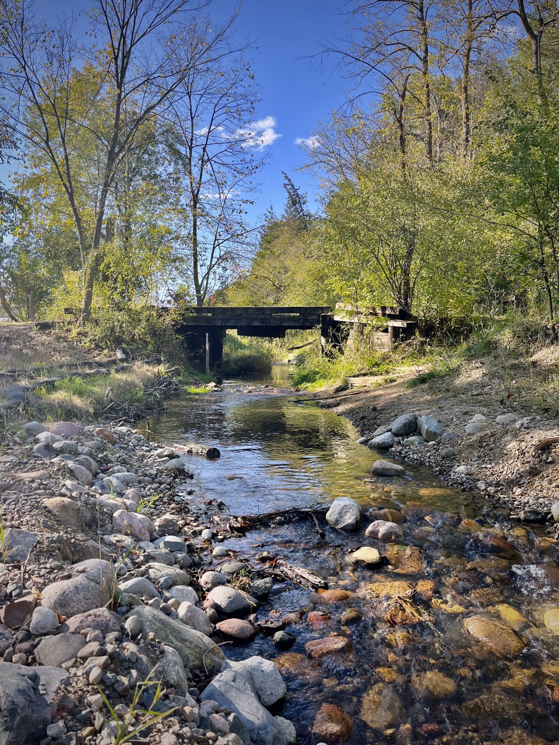 Trout Brook Stream Restoration