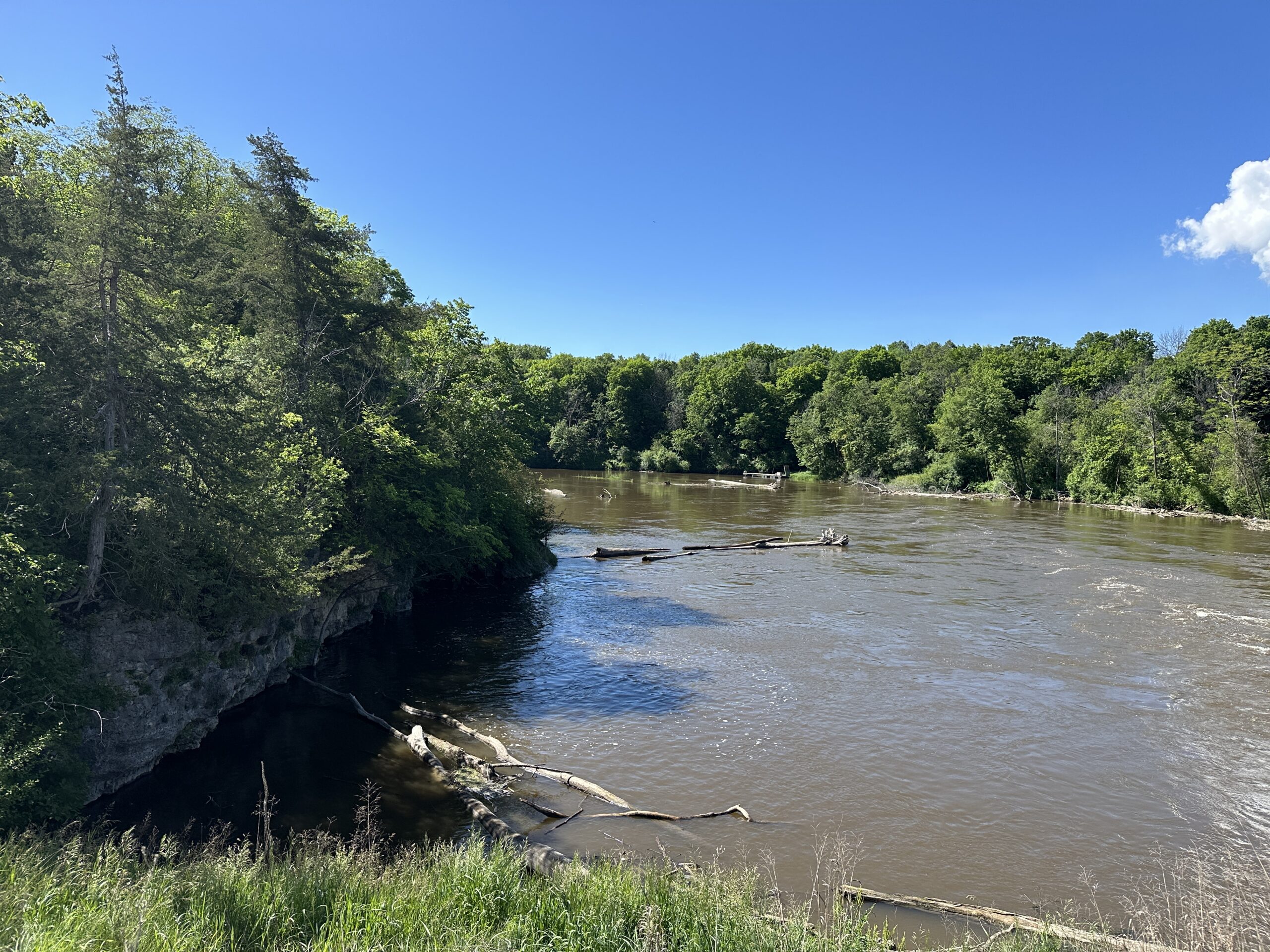 Large river surrounded by green trees and a blue sky