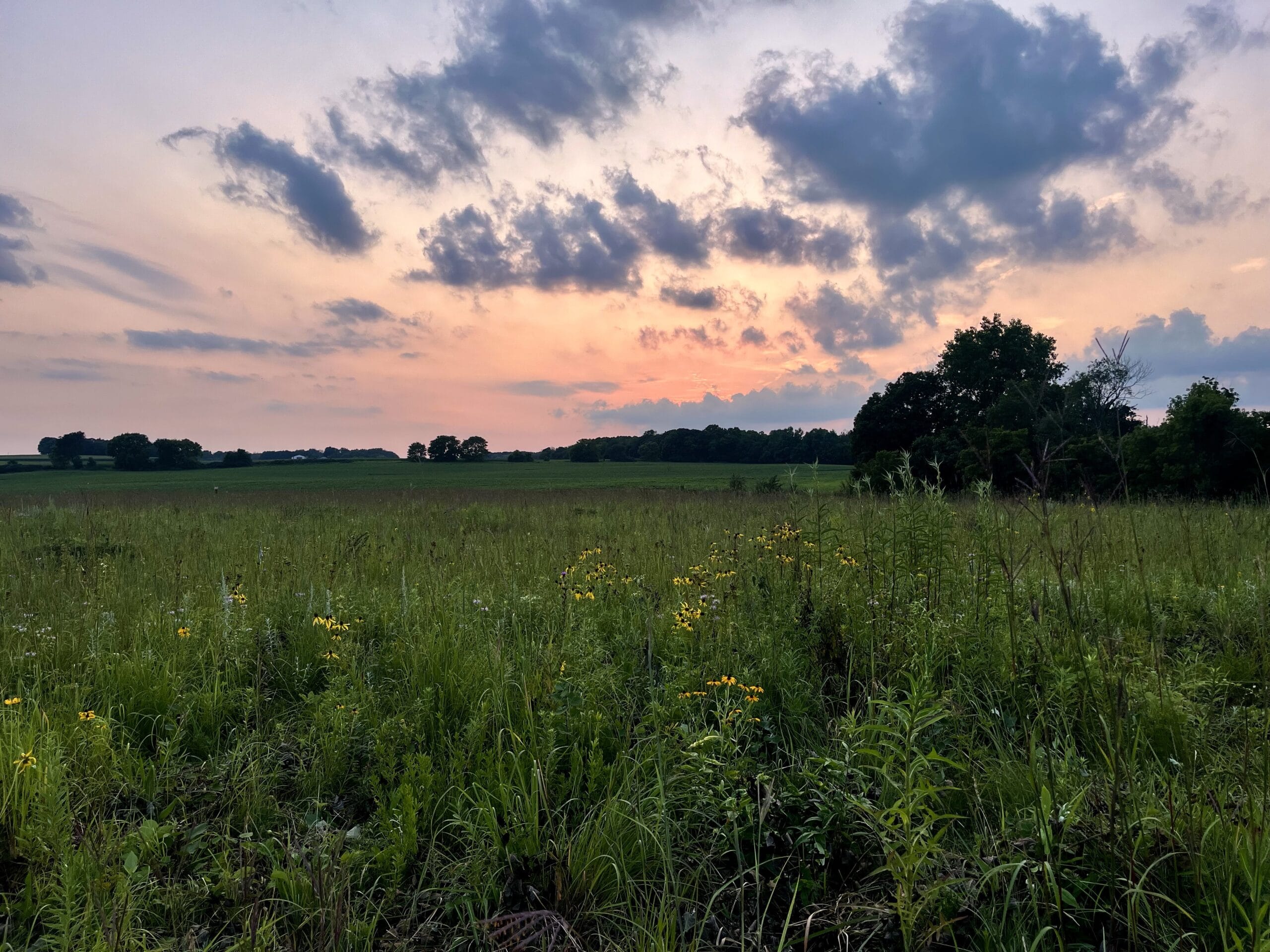 Sunset over a prairie