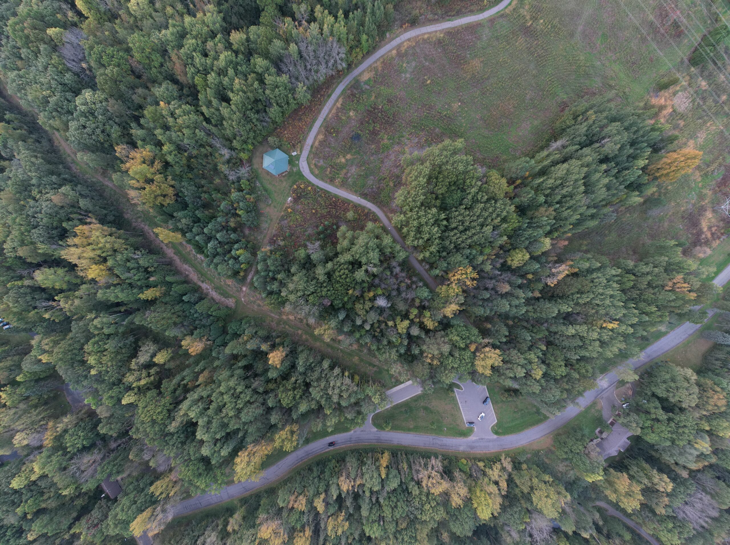 Aerial view of a wooded park