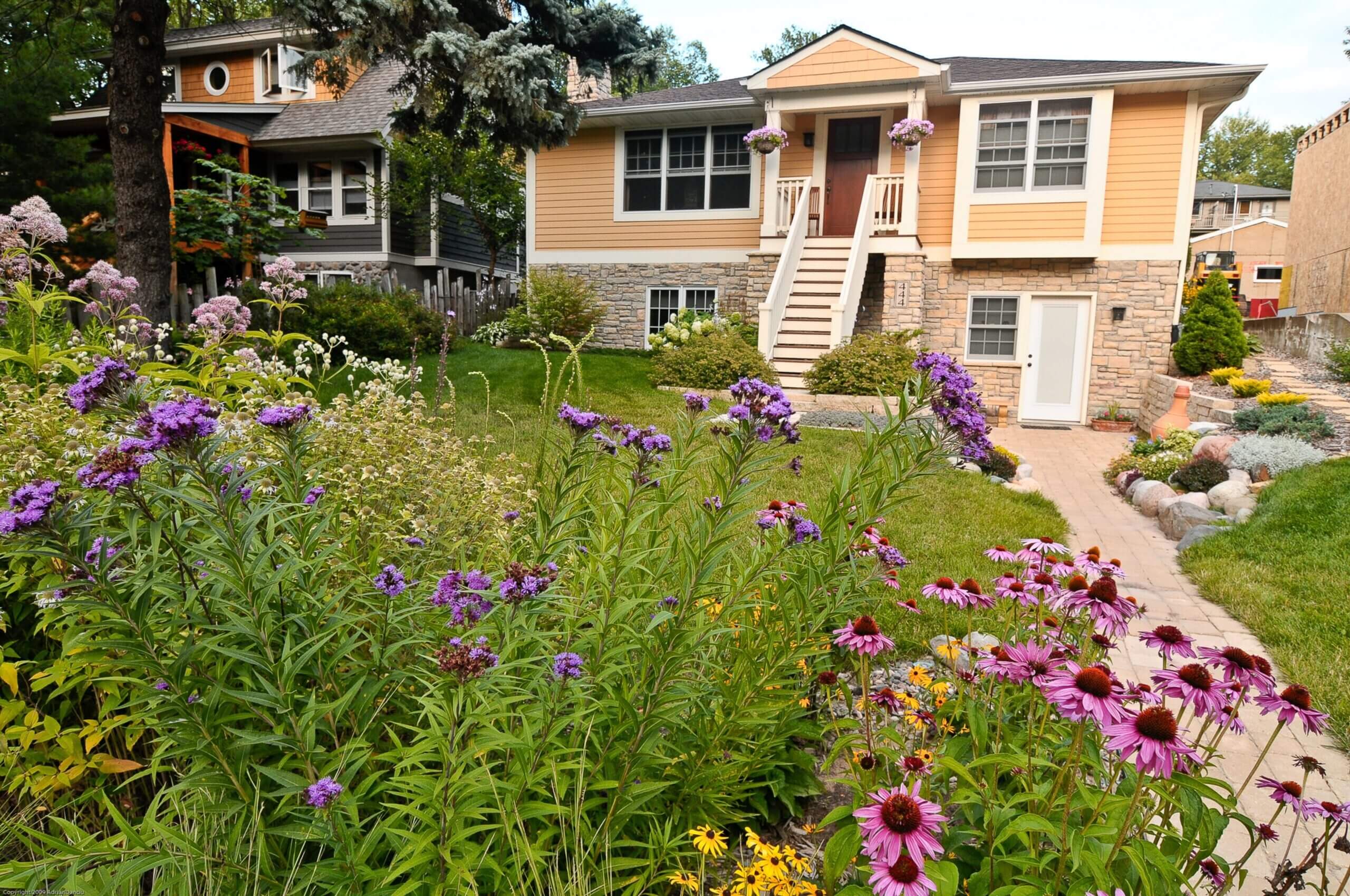House with native plant garden in the foreground