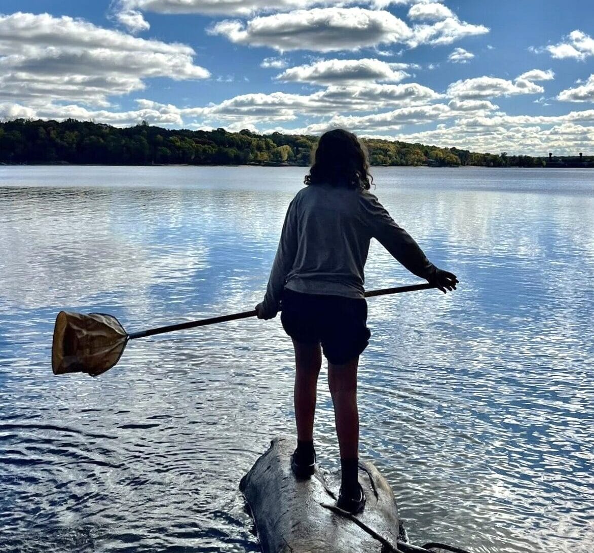 A child with a net in hand standing at the end of a log in a shallow river.