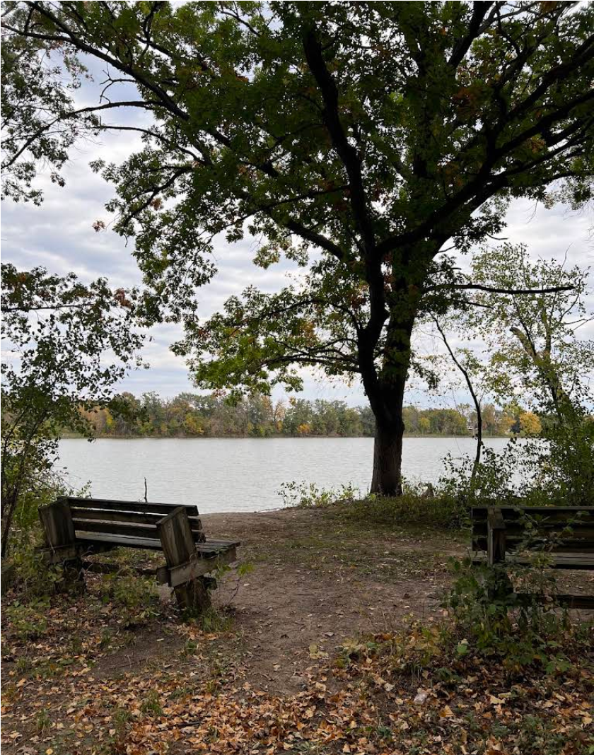 View of a bench overlooking a lake